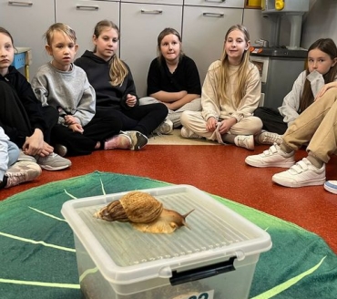 ŚLIMAK, ŚLIMAK...POKAŻ ROGI!